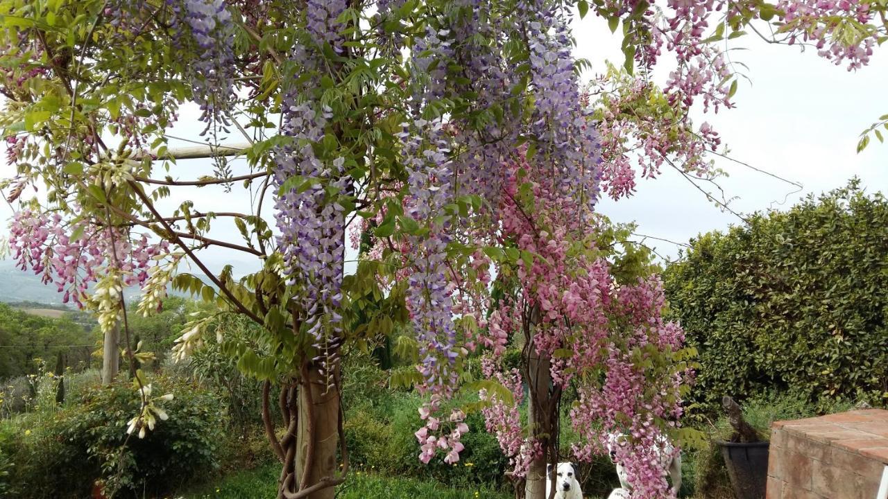 Villa La Moraiola Passignano sul Trasimeno Exterior foto