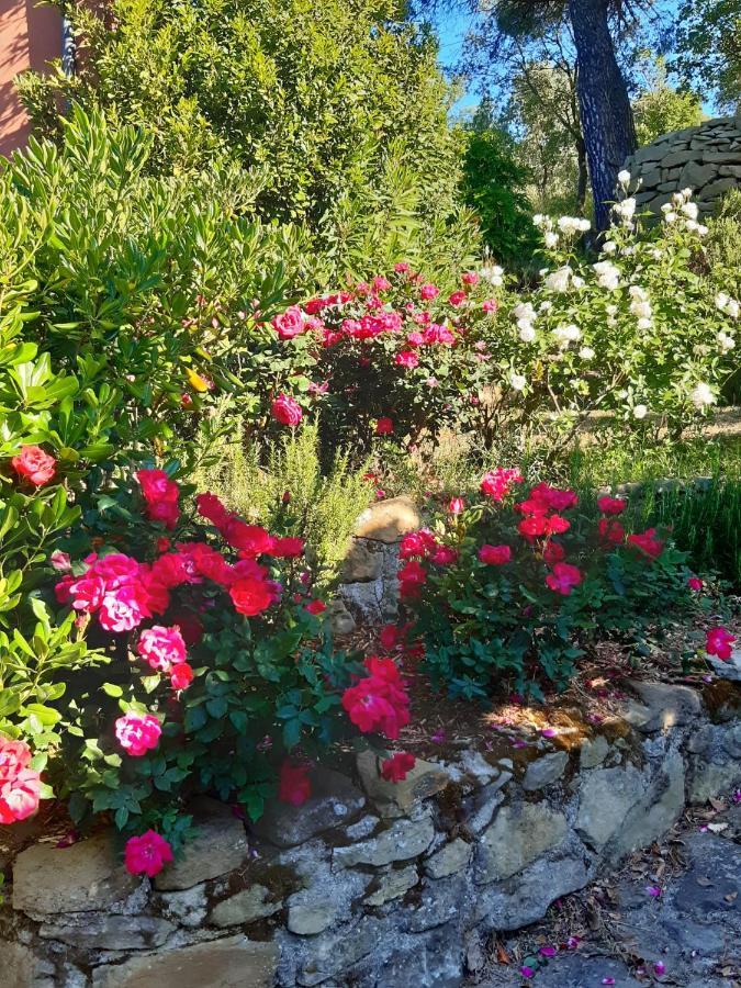 Villa La Moraiola Passignano sul Trasimeno Exterior foto