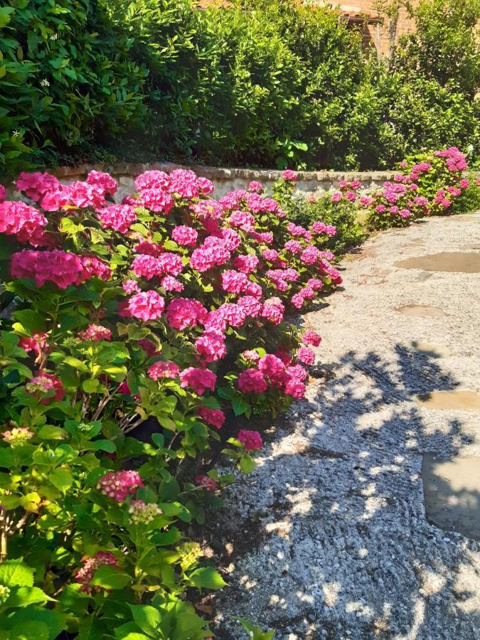 Villa La Moraiola Passignano sul Trasimeno Exterior foto